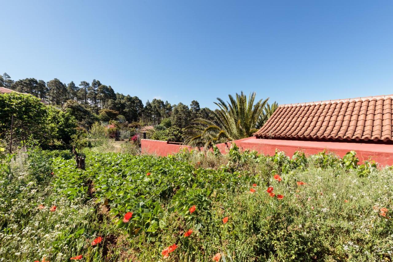 Casa Buganvillas, Reformado Puntagorda المظهر الخارجي الصورة